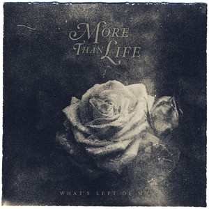 What's Left of Me cover