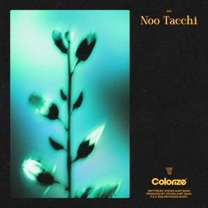 Noo Tacchi by Estiva