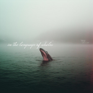 In the Language of Whales by Dolly Raynor