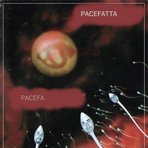 Pacefatta - Tarantini Puro Sangue