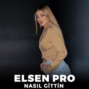 Elsen Pro - Nasıl Gittin