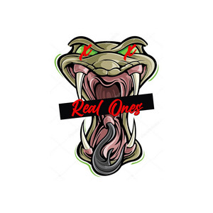 Portada de Real Ones