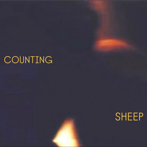 Counting Sheep by Cassandra Clarke