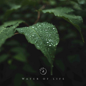 Water of Life by Miaquirele