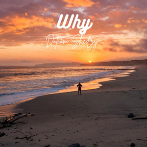Why - Instrumental Radio Edit by Dotcom Shedzy