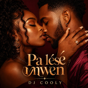 Pa lésé mwen by DJ COOLY