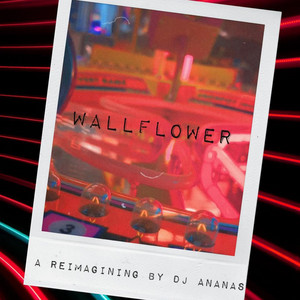 DJ Ananas - Wallflower