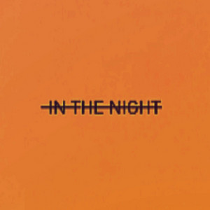 IN THE NIGHT