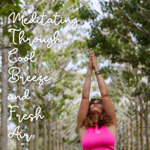 Meditating Through Cool Breeze and Fresh Air album