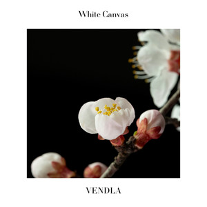White Canvas by Vendla