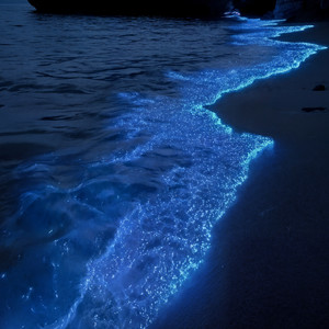 damsay by Luckiness, milky, Corallevel Album Cover