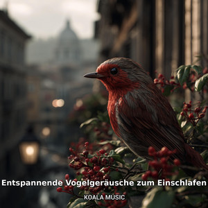 Bird Sounds - Sanfte Vogelklänge für ruhigen Schlaf, Pt.21