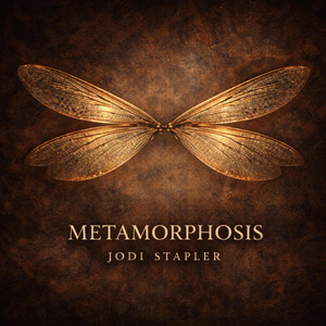 Sing Anyway by Jodi Stapler