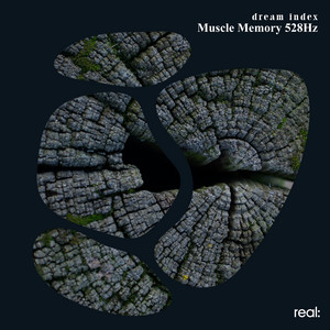 Muscle Memory 528 Hz by dream index