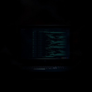 Bug by KN