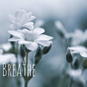 Breathe by Silverpine