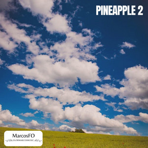 Pineapple 2 by MarcosFO