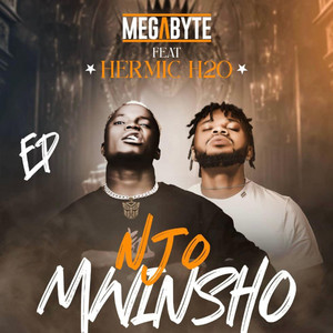 Njo Mwinsho