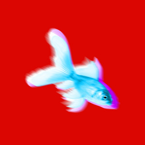 Reverse Psychology album cover