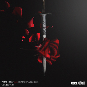 What I Felt by BDOT RR, RondoSp, Lil Rekk