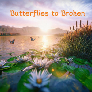 Butterflies To Broken by Brian Bursell