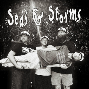 Seas & Storms by Space Plants
