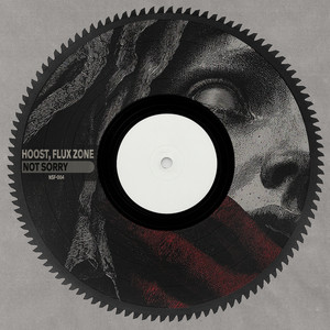 Not Sorry - Radio Edit by Hoost, Flux Zone
