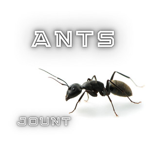 JOUNT — Ants