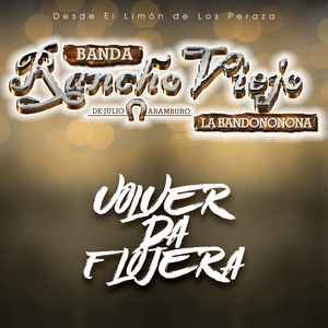 Volver da Flojera cover