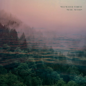 Meltwater Forest by Music Within