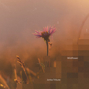 Jonka Tribute - Wildflower