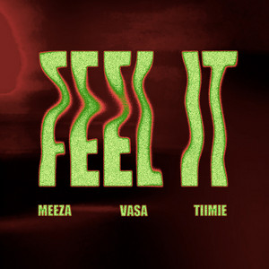 Feel it by Meeza, VASA, Tiimie