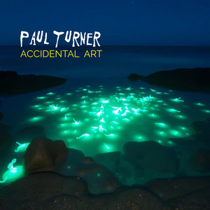 Accidental Art by Paul Turner