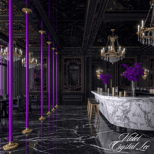 The Dreamstate of Consciousness by VIOLET CRYSTAL LEE