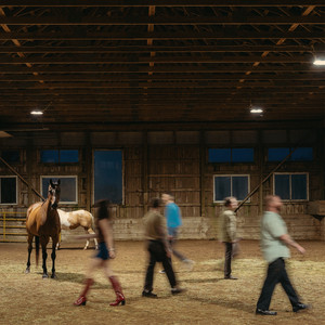 Lucille by GIFT HORSE