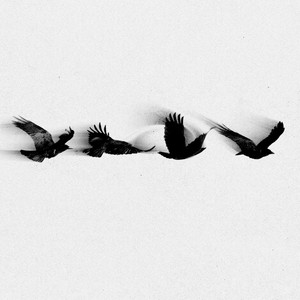 sur ta tombe, LES OISEAUX by RC511