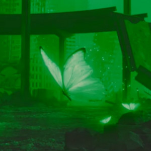 Butterfly - Album by OP2729 | Spotify