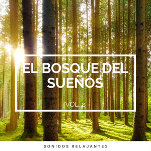 1 Bosque del Sueños vol. 2 album