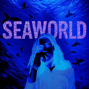 Seaworld by 18soldiers