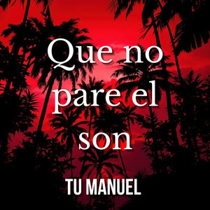 Que no pare el son by Tu Manuel