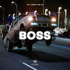 BOSS by STEEF