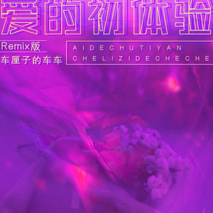 爱的初体验 - Remix by 车厘子的车车