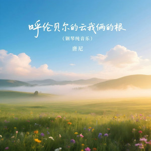 呼伦贝尔的云我俩的根（钢琴纯音乐） by 唐尼