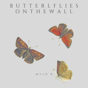Butterlfies on the Wall by Mylo B