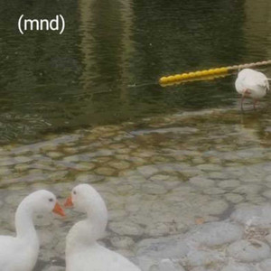 PATOS CC by Mi novio dramático
