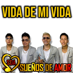 Vida De Mi Vida