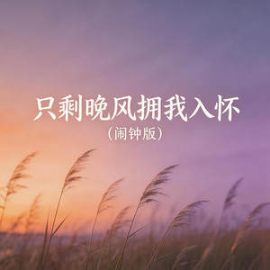 只剩晚风拥我入怀（闹钟版） by 大头钉R&B
