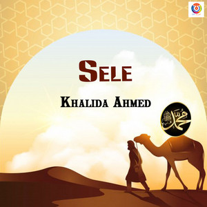 سيلي