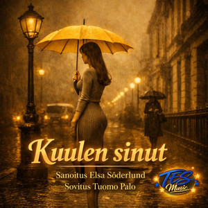 Kuulen sinut by Tuomo Palo