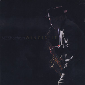 MC Shoehorn gallery image 1